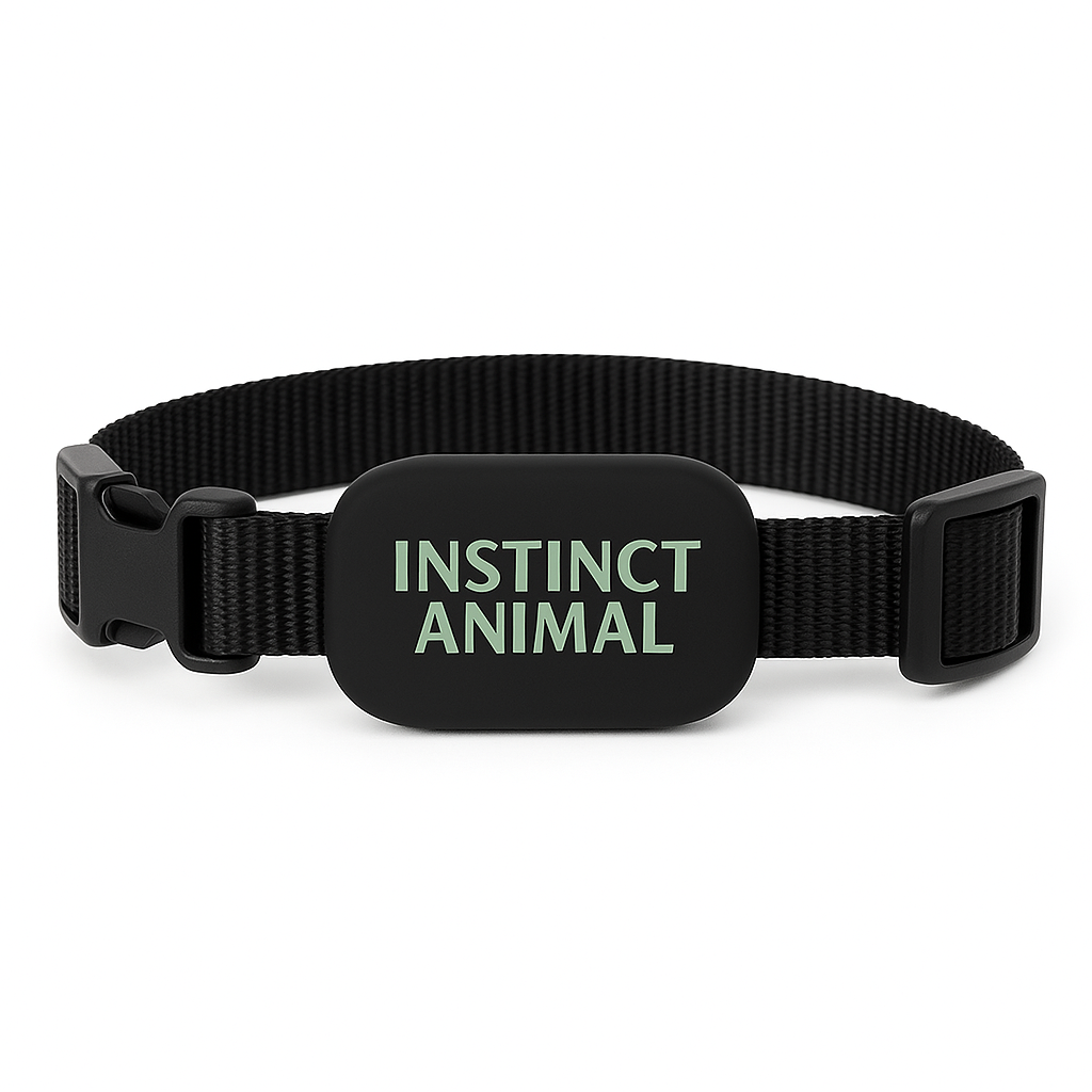Collier de suivi GPS