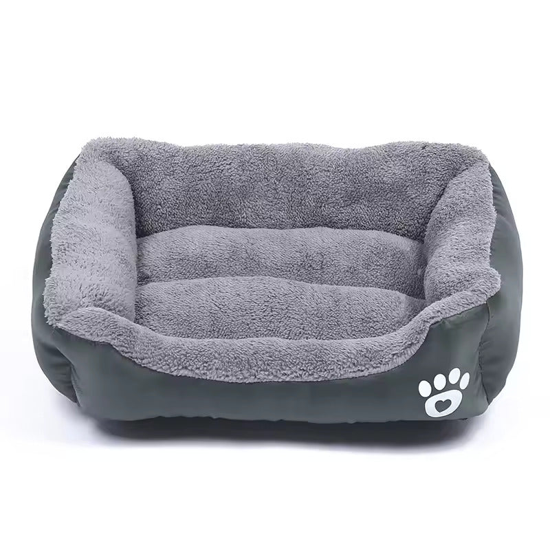 Le Sofa Canin