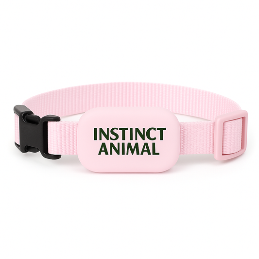Collier de suivi GPS