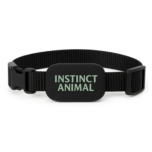 Collier de suivi GPS