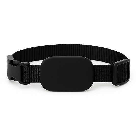 Collier de suivi GPS