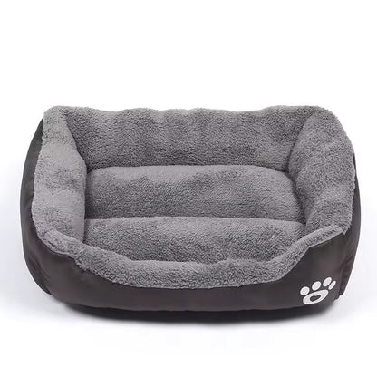 Le Sofa Canin