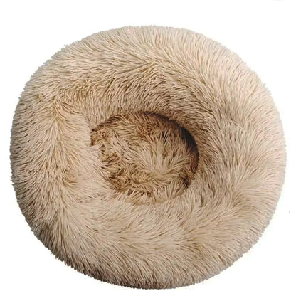 Le sofa félin