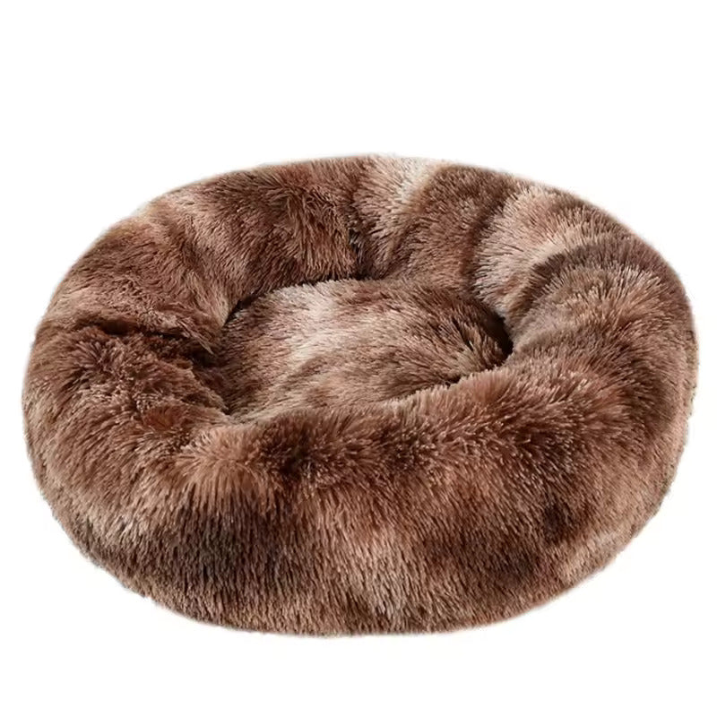 Le sofa félin