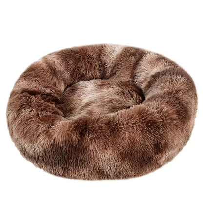 Le sofa félin