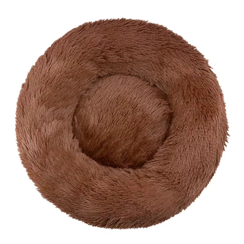 Le sofa félin