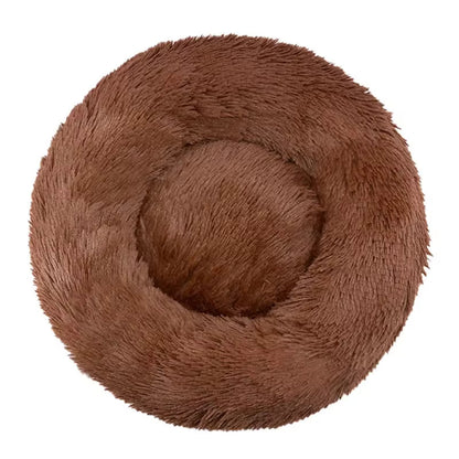 Le sofa félin