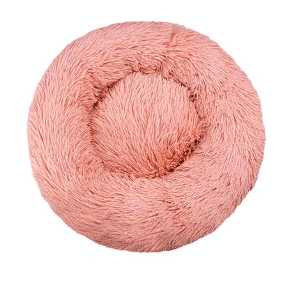 Le sofa félin
