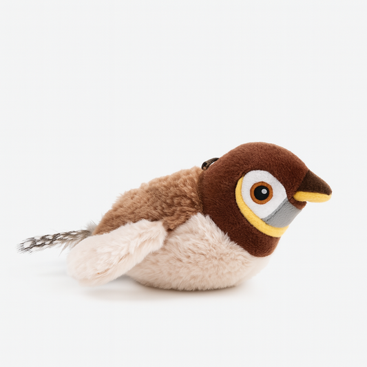 Oiseau Volant pour Chat